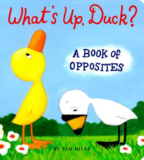 Cover of the book What's Up, Duck? by Tad Hills, Random House Children's Books