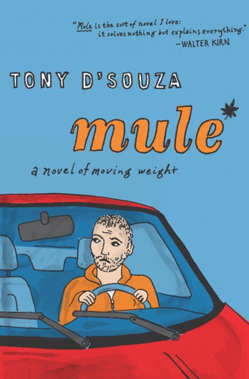 Cover of the book Mule by Tony D'Souza, Houghton Mifflin Harcourt