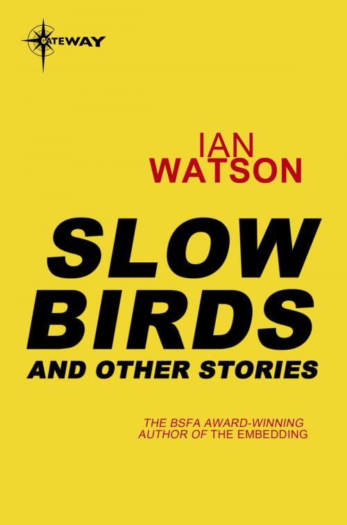 Cover of the book Slow Birds by Ian Watson, Orion Publishing Group