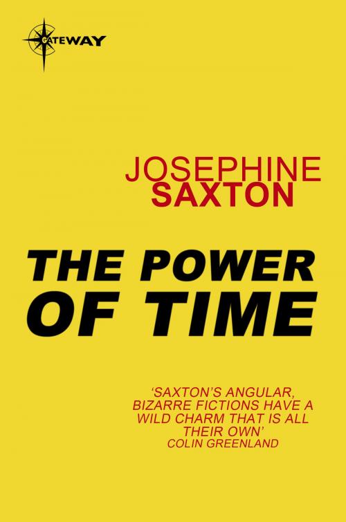 Cover of the book The Power of Time by Josephine Saxton, Orion Publishing Group