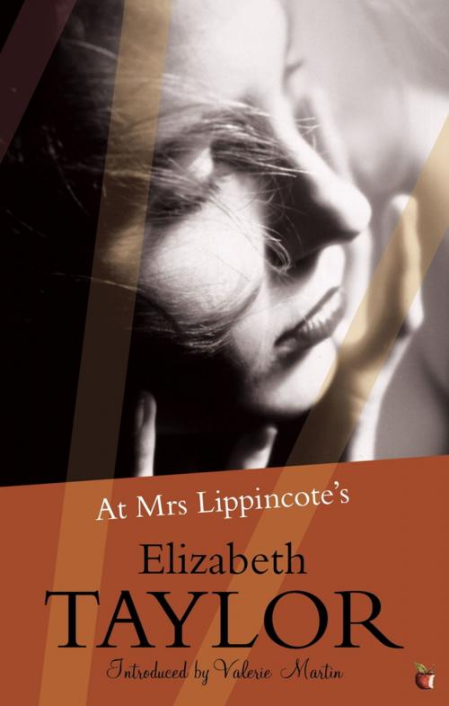 Cover of the book At Mrs Lippincote's by Elizabeth Taylor, Little, Brown Book Group