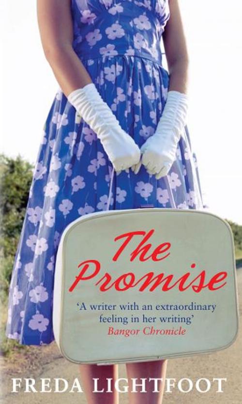Cover of the book The Promise by Freda Lightfoot, Allison & Busby