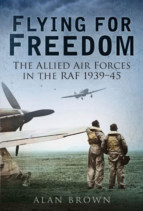 Cover of the book Flying for Freedom by Alan Brown, The History Press