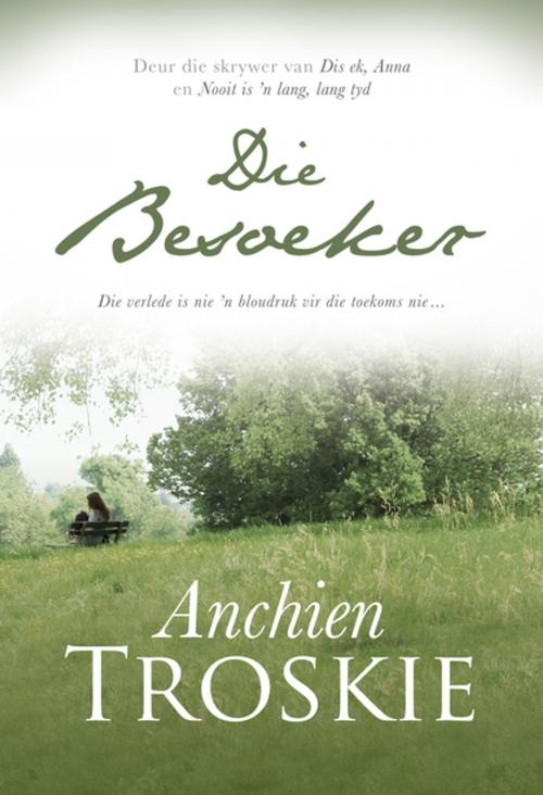 Cover of the book Die besoeker by Anchien Troskie, Kwela
