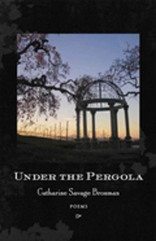 Cover of the book Under the Pergola by Catharine Savage Brosman, LSU Press