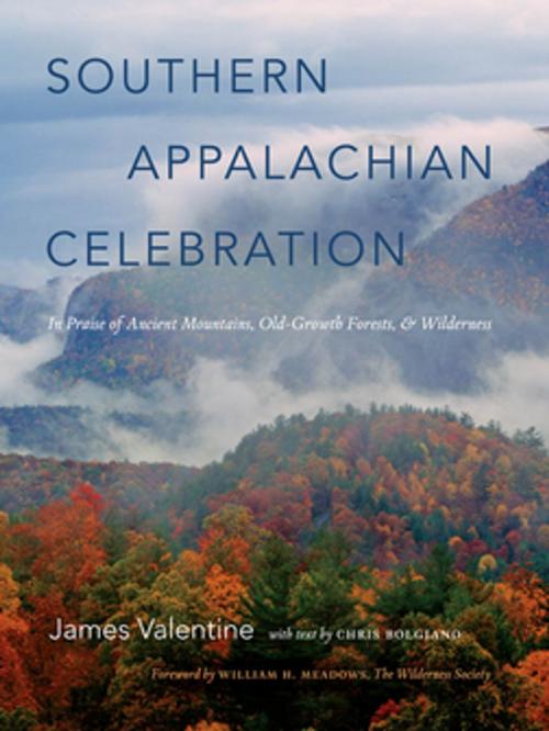 Cover of the book Southern Appalachian Celebration by James Valentine, The University of North Carolina Press