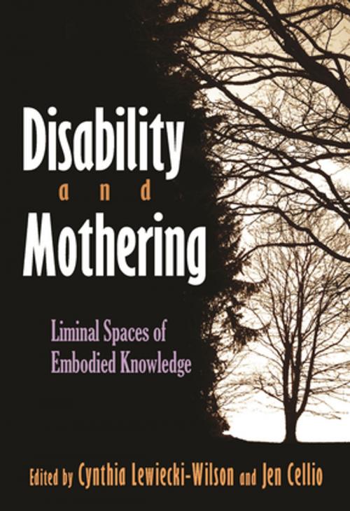 Cover of the book Disability and Mothering by , Syracuse University Press