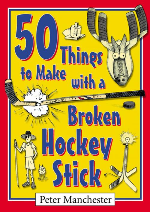 Cover of the book 50 Things to Make with a Broken Hockey Stick by Peter Manchester, Goose Lane Editions