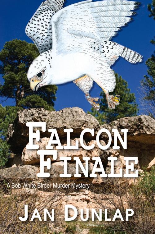 Cover of the book Falcon Finale by Jan Dunlap, North Star Press of St. Cloud
