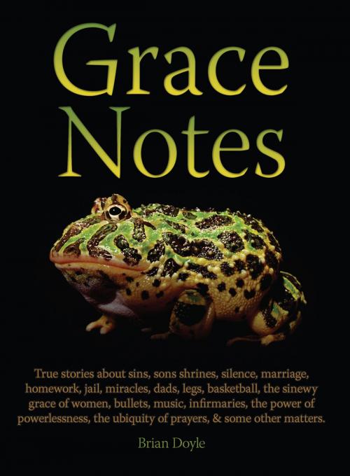 Cover of the book Grace Notes by Brian Doyle, ACTA Publications