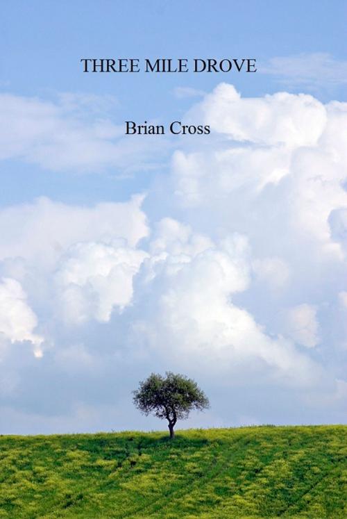 Cover of the book Three Mile Drove by Brian Cross, Brian Cross