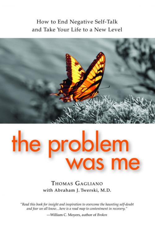 Cover of the book The Problem Was Me by Thomas Gagliano, Abraham Twerski, M.D., Gentle Path Press