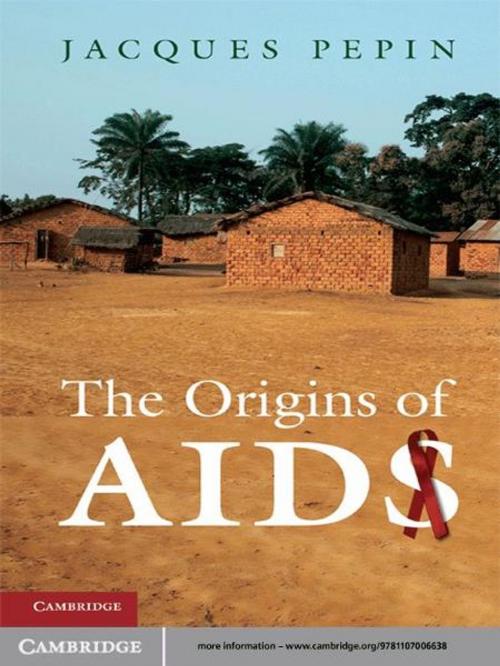 Cover of the book The Origins of AIDS by Jacques Pepin, Cambridge University Press