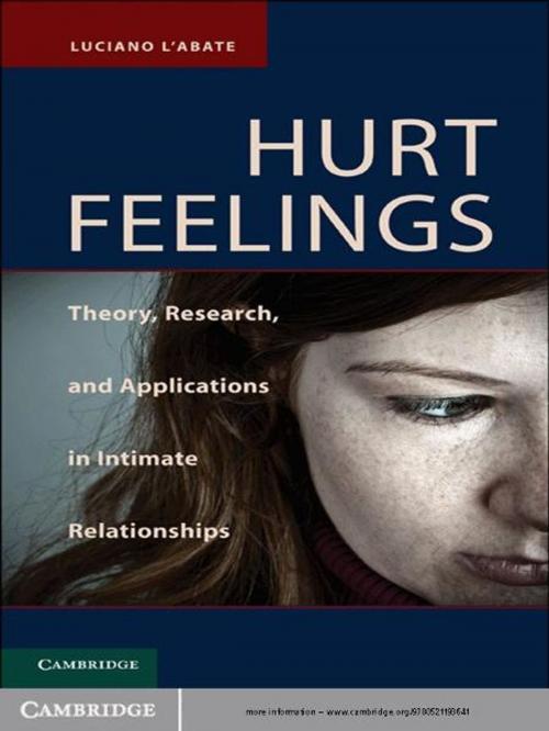 Cover of the book Hurt Feelings by Luciano L'Abate, Cambridge University Press
