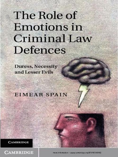 Cover of the book The Role of Emotions in Criminal Law Defences by Eimear Spain, Cambridge University Press