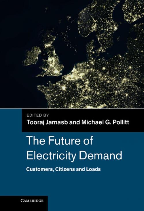 Cover of the book The Future of Electricity Demand by , Cambridge University Press