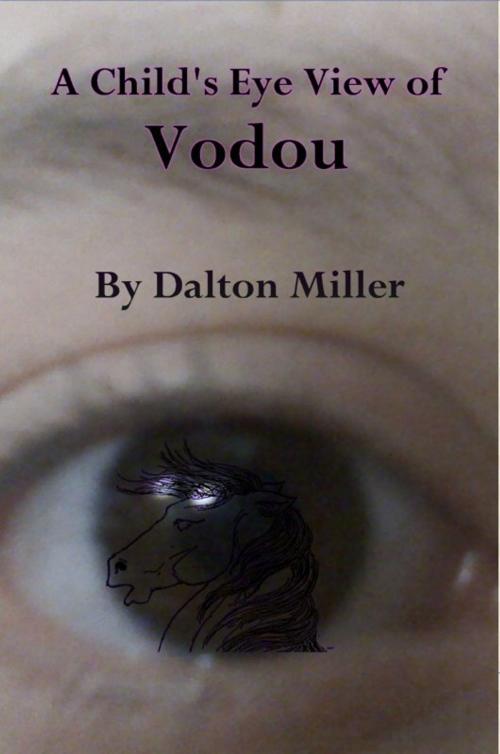 Cover of the book A Child's Eye View of Vodou by Dalton Miller, Spero Publishing