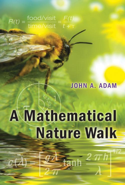Cover of the book A Mathematical Nature Walk by John A. Adam, Princeton University Press