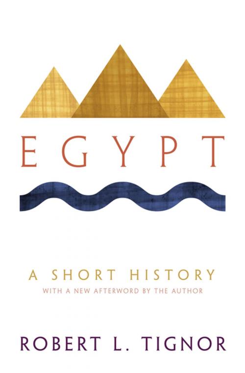 Cover of the book Egypt by Robert L. Tignor, Princeton University Press