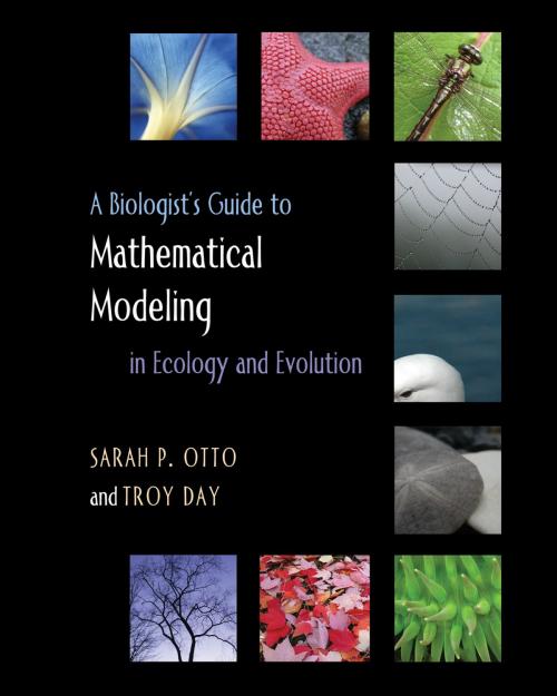 Cover of the book A Biologist's Guide to Mathematical Modeling in Ecology and Evolution by Troy Day, Sarah P. Otto, Princeton University Press