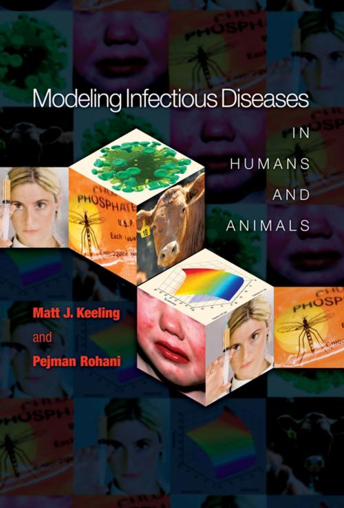 Cover of the book Modeling Infectious Diseases in Humans and Animals by Matt J. Keeling, Pejman Rohani, Princeton University Press