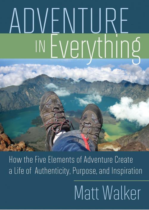 Cover of the book Adventure In Everything by Matt Walker, Hay House