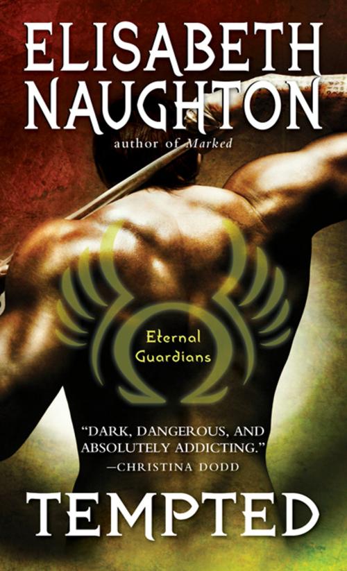Cover of the book Tempted by Elisabeth Naughton, Sourcebooks