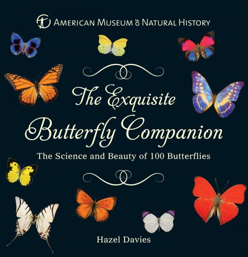 Cover of the book The Exquisite Butterfly Companion by American Museum of Natural History, Hazel Davies, Sterling Signature