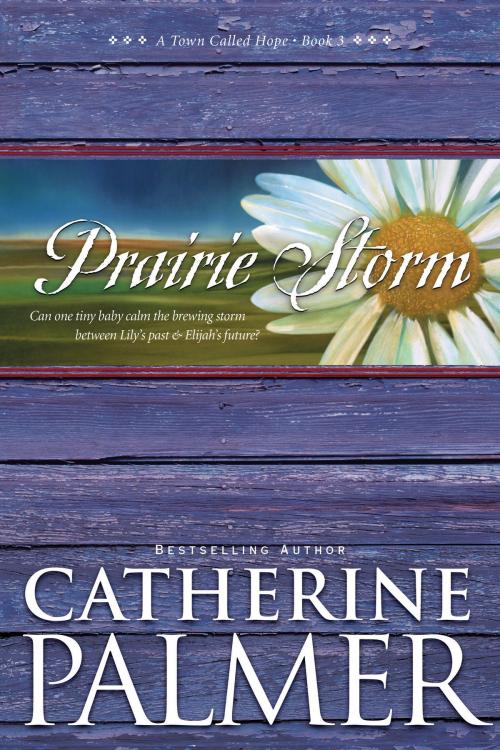 Cover of the book Prairie Storm by Catherine Palmer, Tyndale House Publishers, Inc.