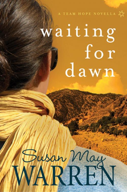Cover of the book Waiting for Dawn by Susan May Warren, Tyndale House Publishers, Inc.