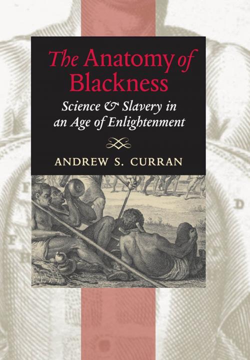 Cover of the book The Anatomy of Blackness by Andrew S. Curran, Johns Hopkins University Press