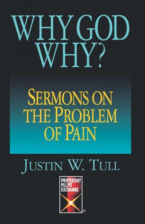 Cover of the book Why God Why? by Justin W. Tull, Abingdon Press