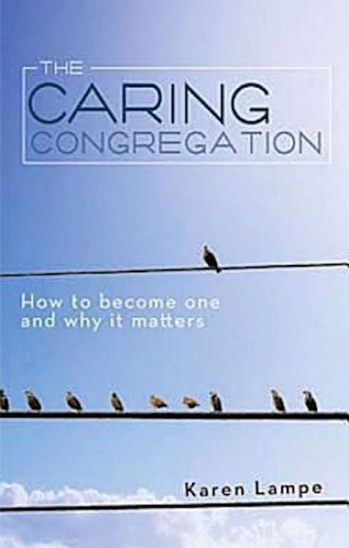 Cover of the book The Caring Congregation by Karen Lampe, Abingdon Press