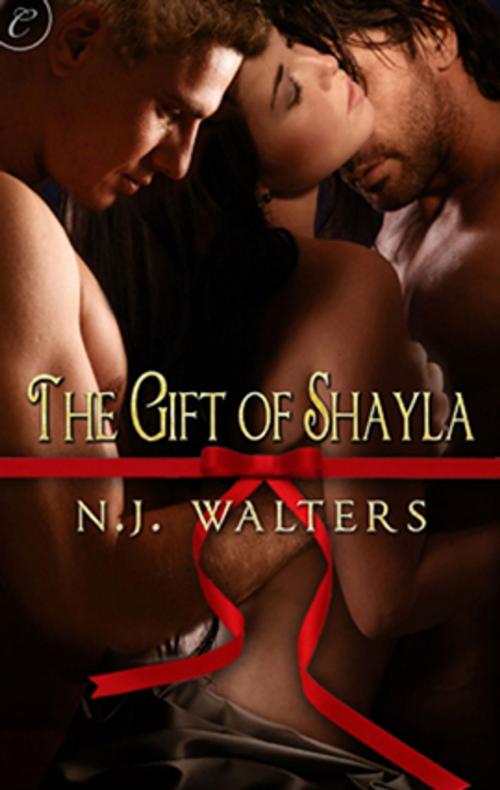 Cover of the book The Gift of Shayla by N.J. Walters, Carina Press
