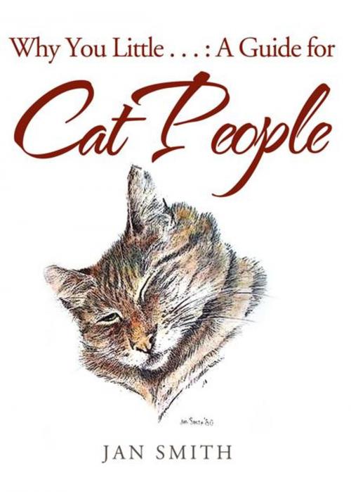 Cover of the book Why You Little . . . : a Guide for Cat People by Jan Smith, Trafford Publishing