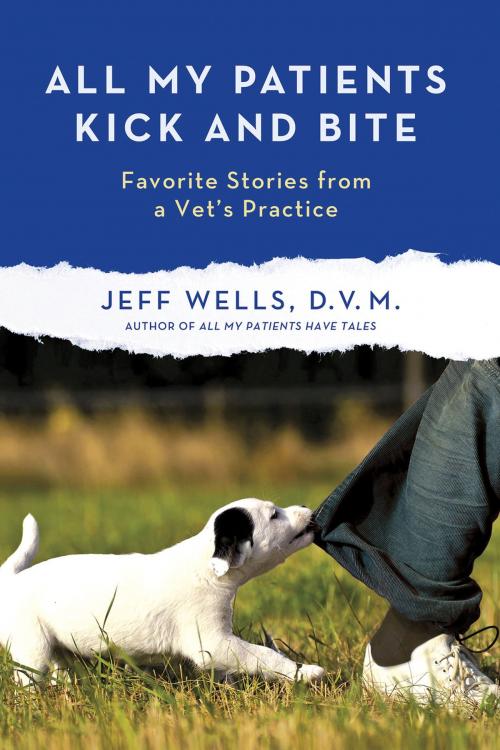 Cover of the book All My Patients Kick and Bite by Jeff Wells, St. Martin's Press