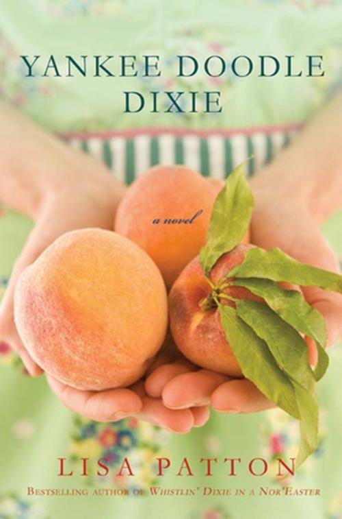 Cover of the book Yankee Doodle Dixie by Lisa Patton, St. Martin's Press
