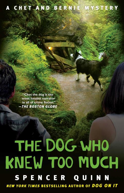 Cover of the book The Dog Who Knew Too Much by Spencer Quinn, Atria Books