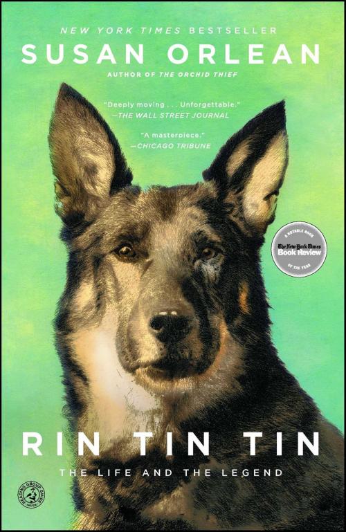 Cover of the book Rin Tin Tin by Susan Orlean, Simon & Schuster