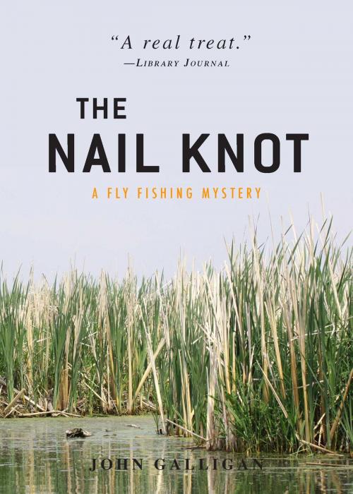Cover of the book The Nail Knot by John Galligan, Gallery Books