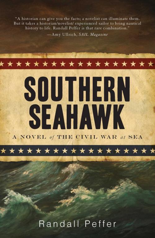 Cover of the book Southern Seahawk by Randall Peffer, Gallery Books