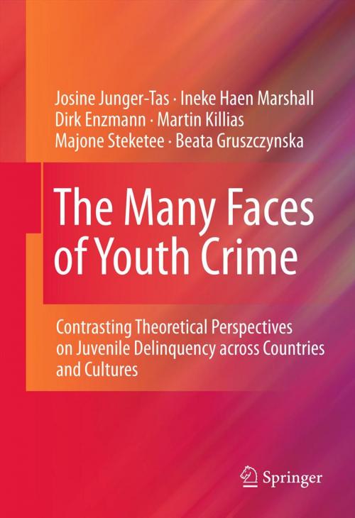 Cover of the book The Many Faces of Youth Crime by Josine Junger-Tas, Ineke Haen Marshall, Dirk Enzmann, Martin Killias, Majone Steketee, Beata Gruszczynska, Springer New York