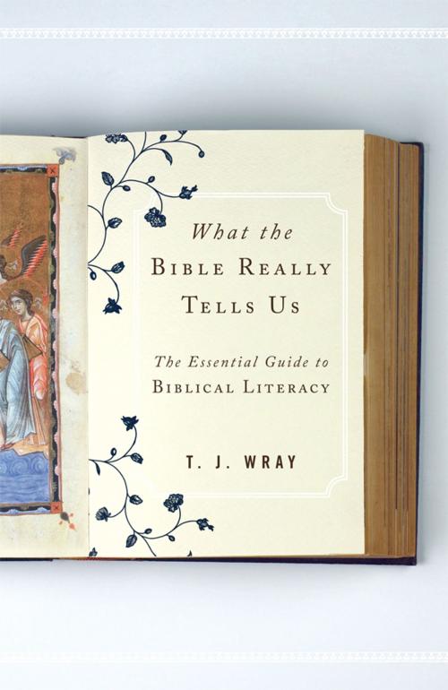 Cover of the book What the Bible Really Tells Us by T. J. Wray, Rowman & Littlefield Publishers