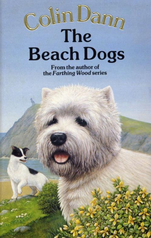 Cover of the book The Beach Dogs by Colin Dann, RHCP