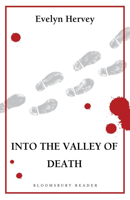 Cover of the book Into the Valley of Death by Evelyn Hervey, Bloomsbury Publishing