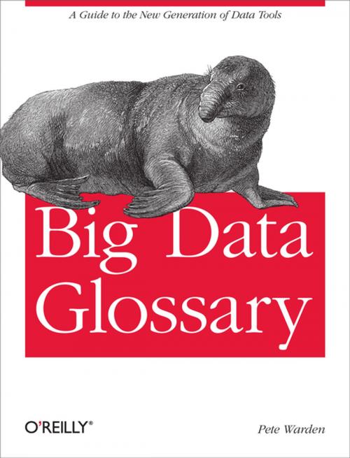 Cover of the book Big Data Glossary by Pete Warden, O'Reilly Media