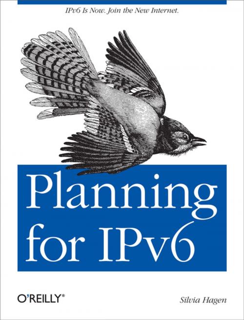 Cover of the book Planning for IPv6 by Silvia Hagen, O'Reilly Media