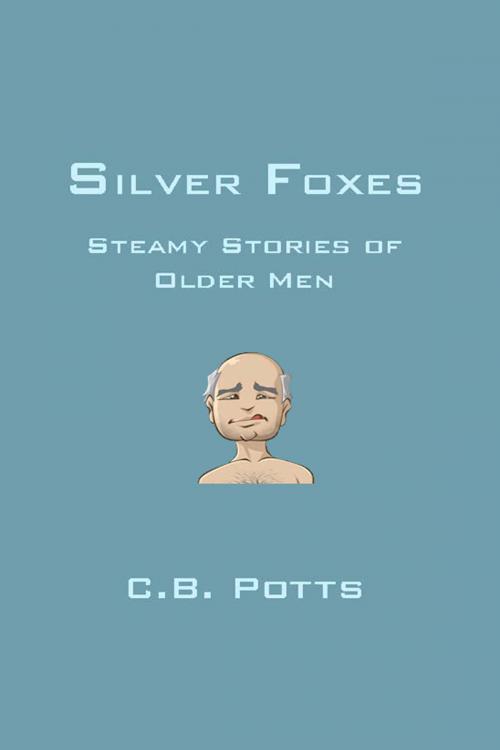 Cover of the book Silver Foxes: Steamy Stories of Older Men by C.B. Potts, Lethe Press