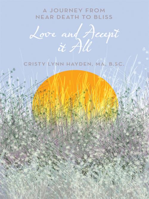 Cover of the book Love and Accept It All by Cristy Lynn Hayden MA B.Sc., Balboa Press