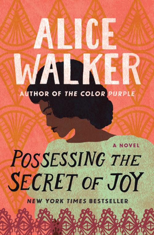 Cover of the book Possessing the Secret of Joy by Alice Walker, Open Road Media